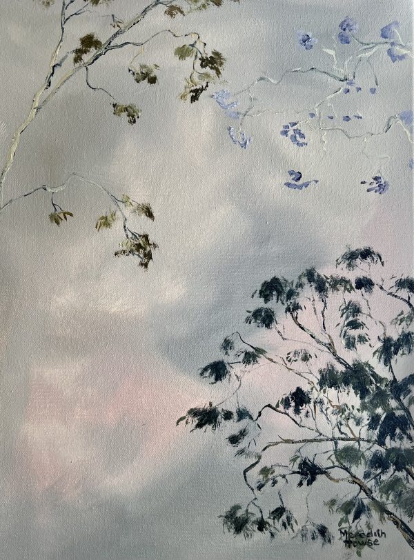 Illumination Of Brisbane Jacaranda By Meredith Howse