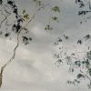 Illumination Of Sky By Meredith Howse