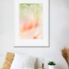 Pastel Tulip Framed Print Bernadette Meyers Art Lovers Australia