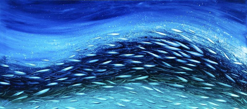 Surfin In The Shallows