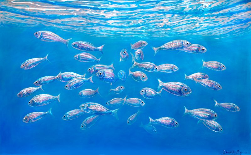 Suspended 90 X 145cm 2 800x497 (3)