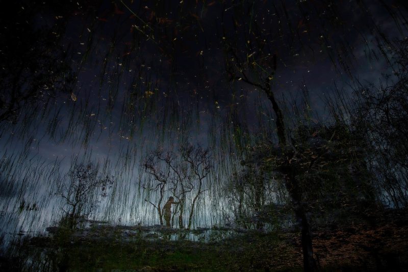 Transcendence from the Series Edge