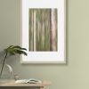 Tranquil Forest 2 Bernadette Meyers Art Lovers Australia Framed Print