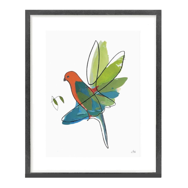 True Motion King Parrot