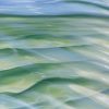 Close Up Fun In The Tropics Alanah Jarvis Ocean Painting