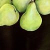 Five Pears, Still Green 2