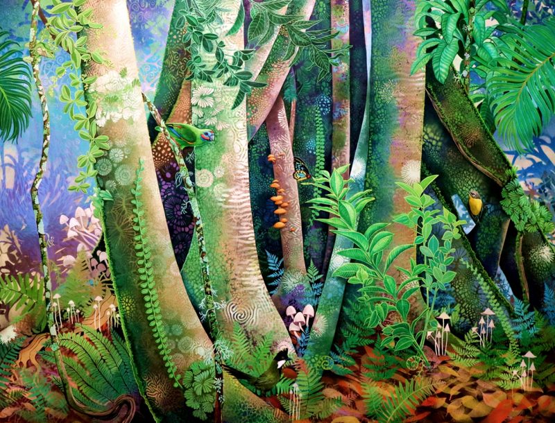 Patterns Of The Forest Wip Web 800x610