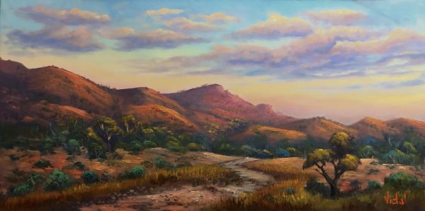 2022p5 Warm Light At Flinders Ranges V2