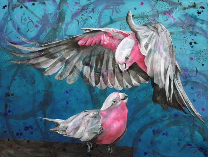 Being Galahs – Ltd Ed Print