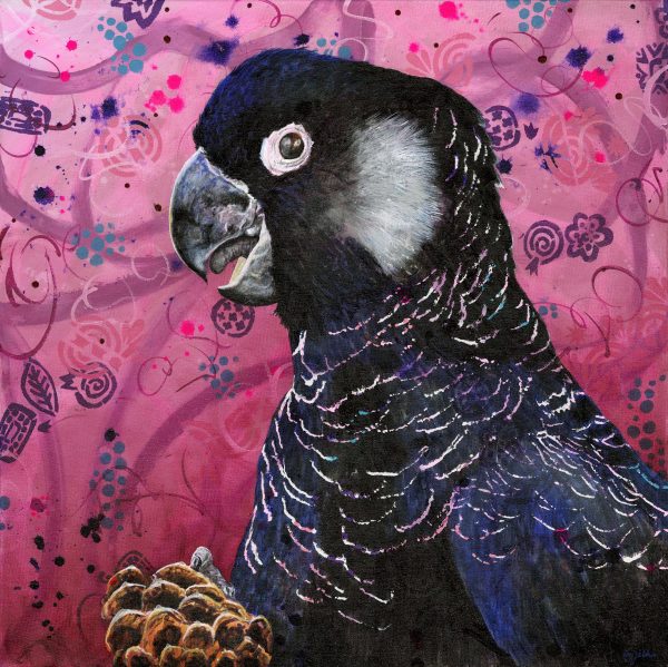 Black Cockatoo Lower Res