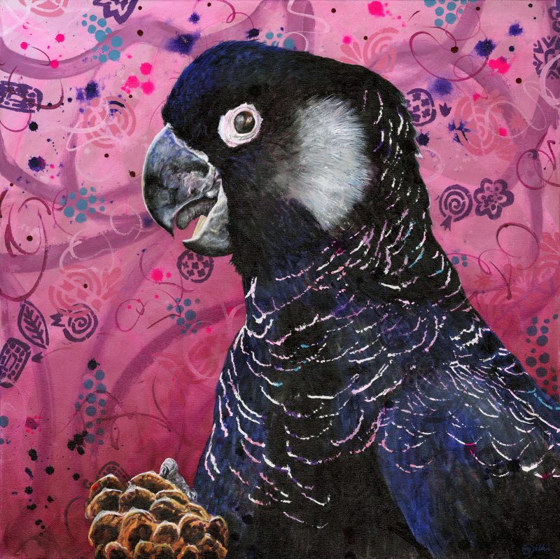 Carnaby’s Black Cockatoo – Ltd Ed Print
