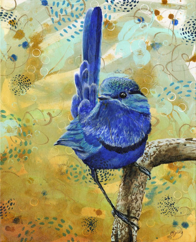 Splendid Wren – Ltd Ed Print
