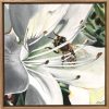 Busy Bee Kim Neil Web
