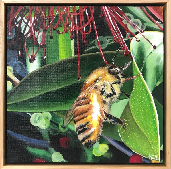 Busy Bee Kim Neil Web