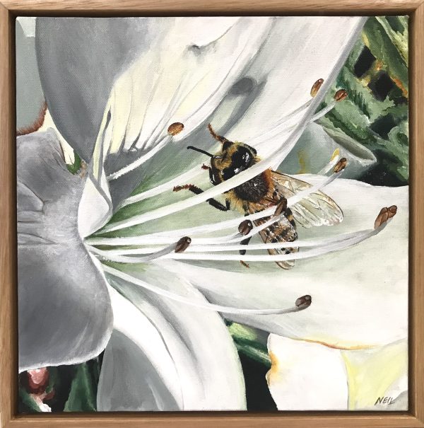 Busy Bee Kim Neil Web