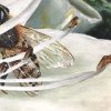 Busy Bee Kim Neil Detail