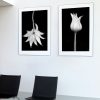 Flannel Flower Shadows Diptych Framed Prints Bernadette Meyers Art Lovers Australia