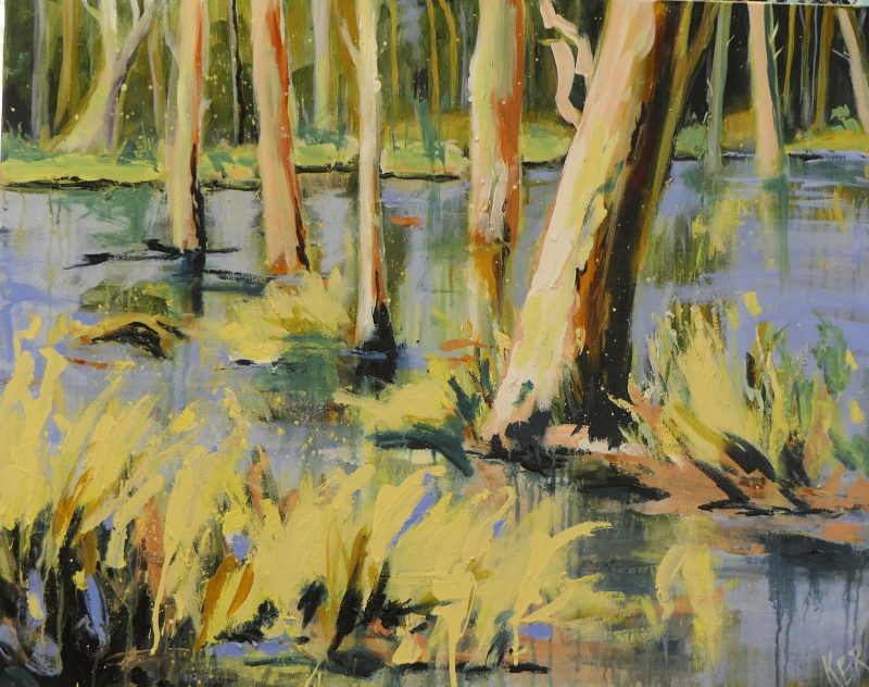 Gum Swamp, Forbes NSW