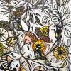 Honeyeaters And Gum Flowers 4of6 By Nicola Cowie