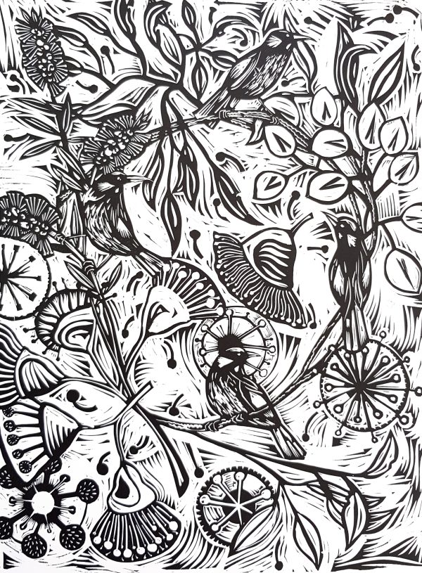 Honeyeaters And Gum Flowers 6of6 By Nicola Cowie