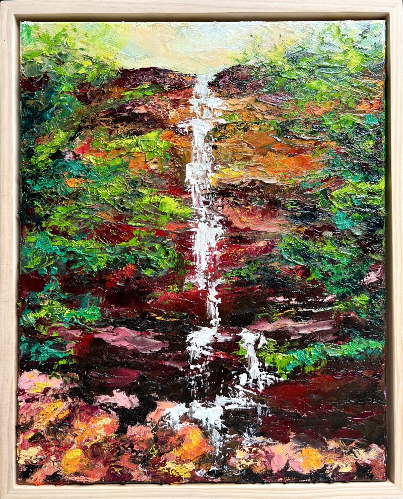 Horseshoe Falls (Blue Mountains)