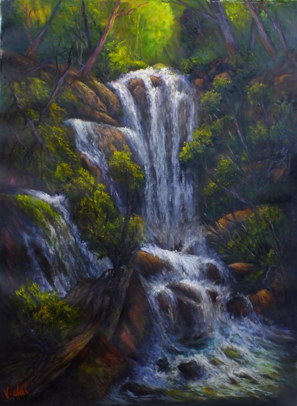 Kanangra Waterfall Oil On Linen Vidal
