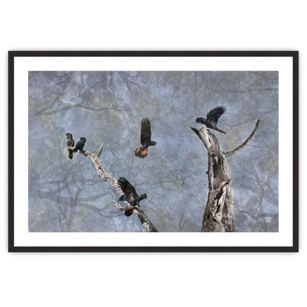 Prime Real Estate Blk Frame