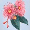 Vickie Liu Small Pink Gum Blossoms In Summer 2 Original Artwork