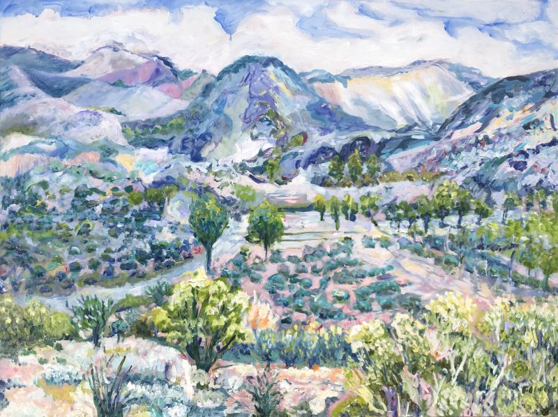 Australian Mountain Range Landscape