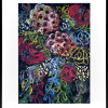 Floral Series No1 Framed Black Joanna Greenwood Art Lovers Australia