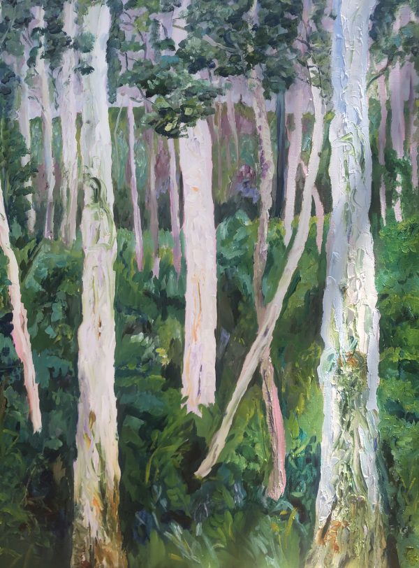 Ghost Gum Forest