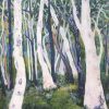 Ghost Gums
