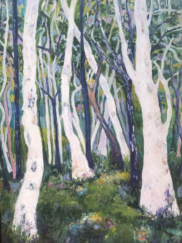 Ghost Gums