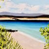 Noosa Little Cove Beach Songbird Designz Deborah Lang Beach Bay Beachscene Canvas Wall Art Contemporary Coastal Hamptons Style 4