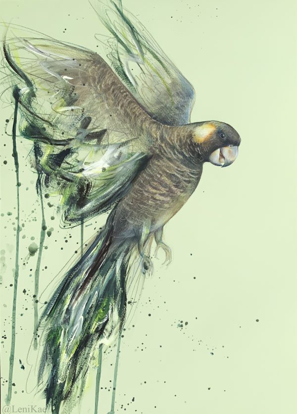 Sydney Artist Leni Kae Black Cockatoo Art Dsig