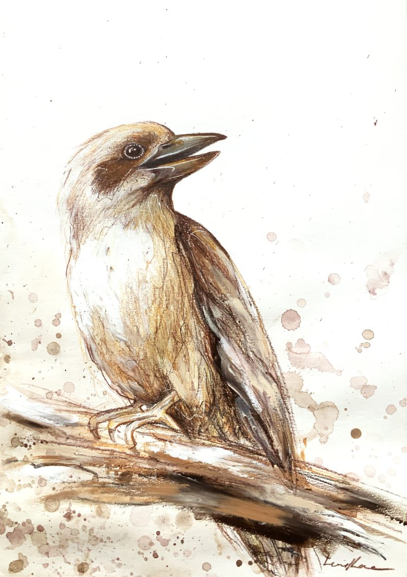 Song of the Laughing Kookaburra
