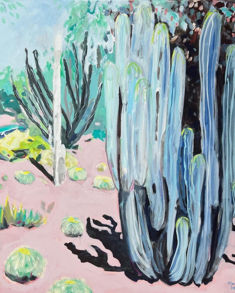 Cactus – Succulent Society