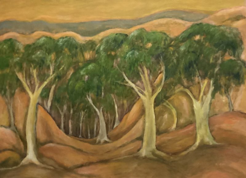 A valley of gum trees