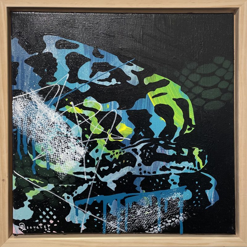 Carpet // Python Series