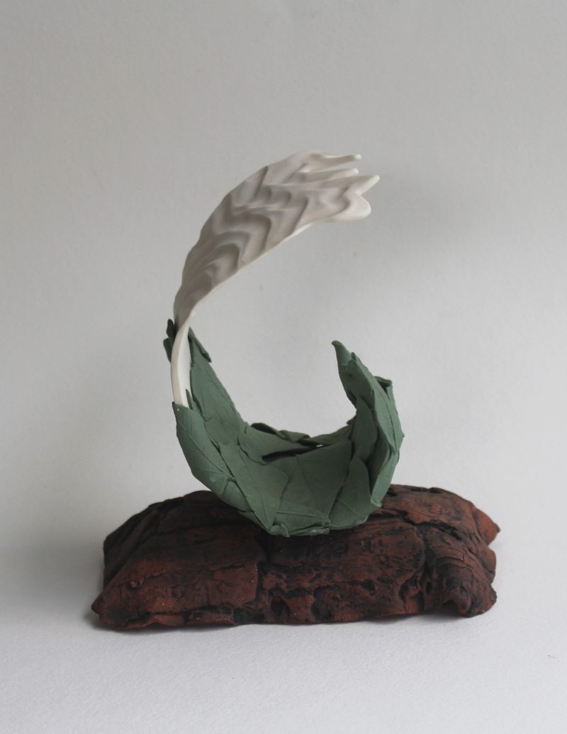 From The Forest To The Sea