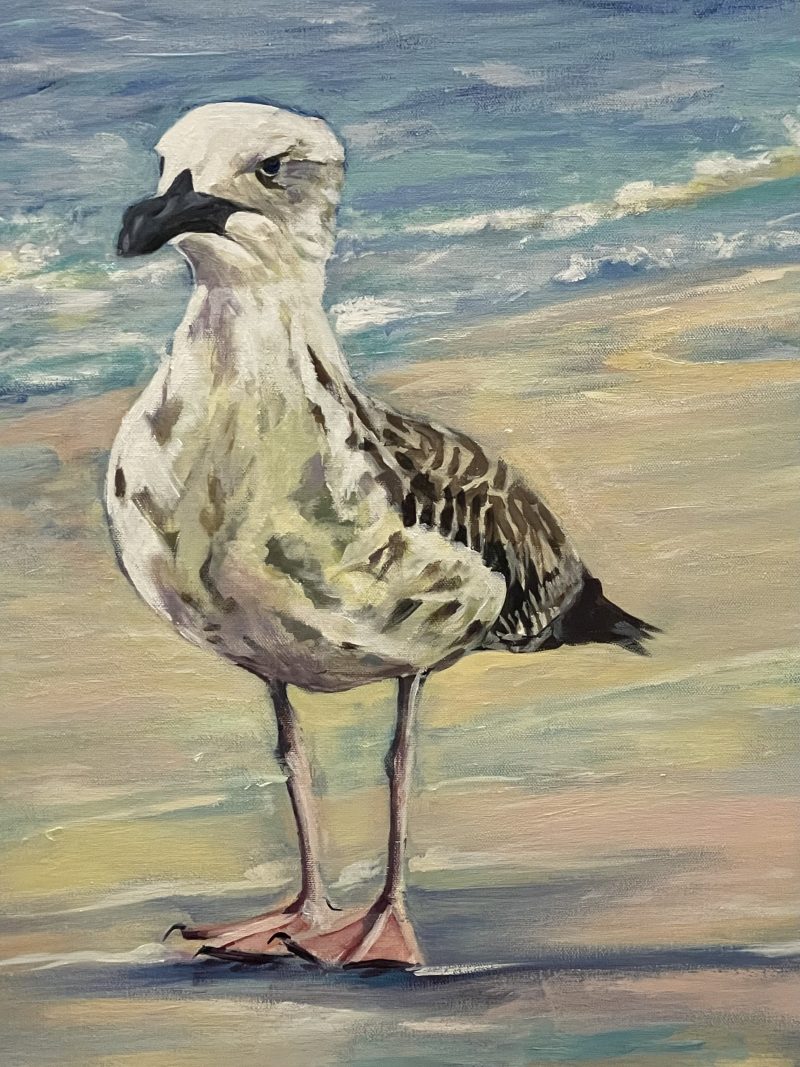 Seagull Waiting By The Sea