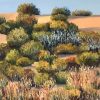 Lyn Graham Simpson Desert 3 Detail Oil On Linen
