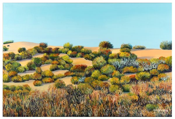 Lyn Graham Simpson Desert 3 Oil On Canvas 60 X 90