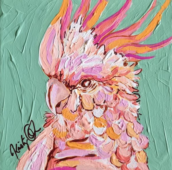 Oh So Pretty In Pink Kristy Quinn 1