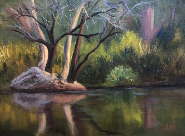 Reflections And Mt Surprise Queensland Oil On Linenb