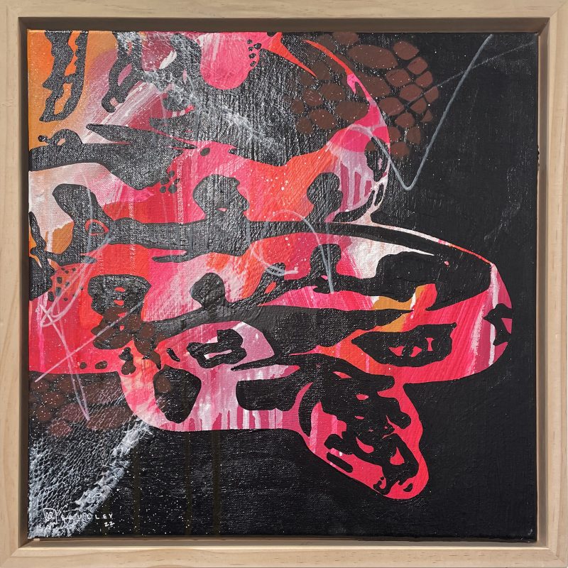 Reticulated // Python Series