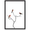 Scarlet Honeyeater Blk Frame