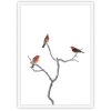 Scarlet Honeyeater White Frame