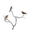 Scarlet Honeyeater Greay Border