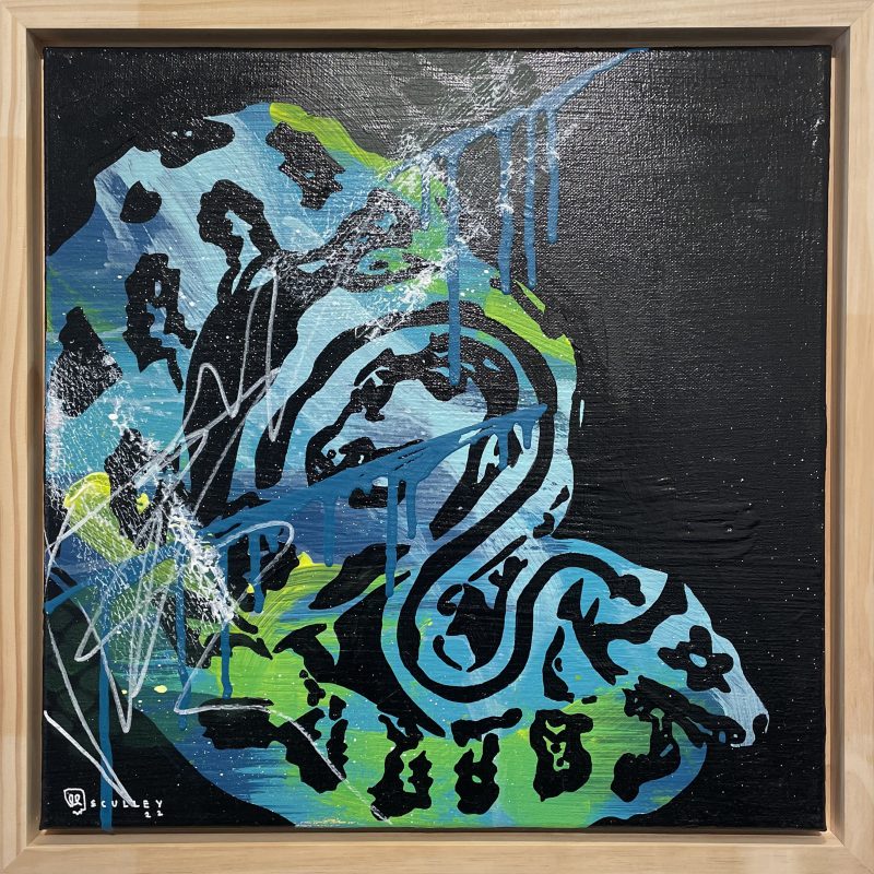 Timor // Python Series